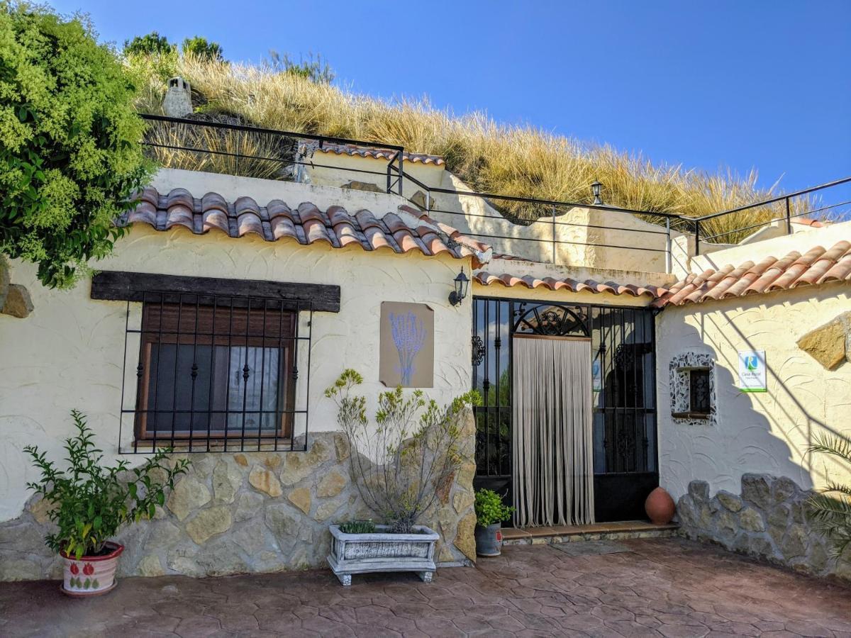 Casas Cuevas Elmirador Guest House Fontanar Екстериор снимка