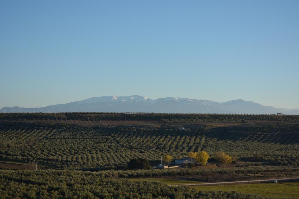 Casas Cuevas Elmirador Guest House Fontanar Екстериор снимка